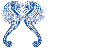 Seahorse Hawaii Foundation