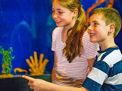 Children at Aquarium | Seahorse Hawaii Foundation