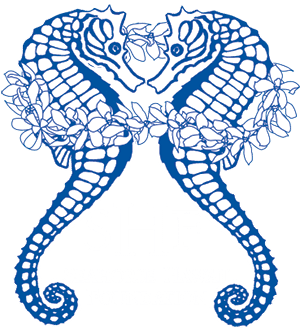 Seahorse Hawaii Foundation