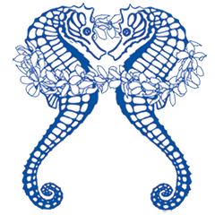 Seahorse Hawaii Foundation