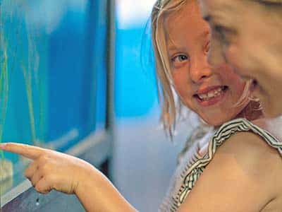 Child at Aquarium | Seahorse Hawaii Foundation