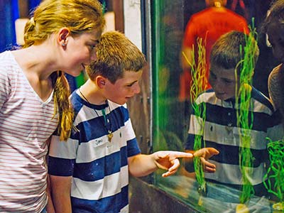 Children at Aquarium | Seahorse Hawaii Foundation